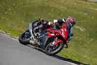 Lower Group Red Bikes